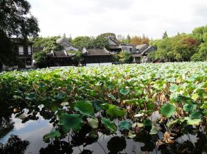 小莲庄