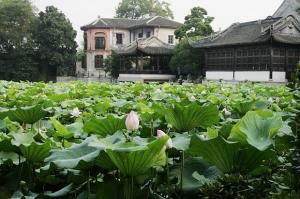 小莲庄