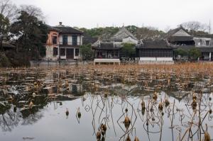 小莲庄